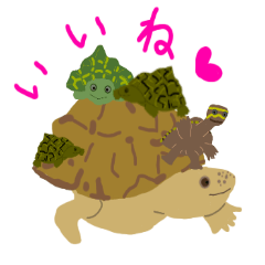 [LINEスタンプ] カメ×KAME