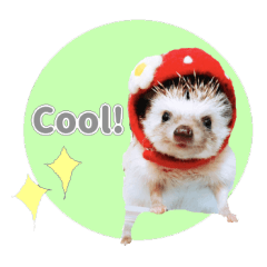ハリネズミわさび☆英語版