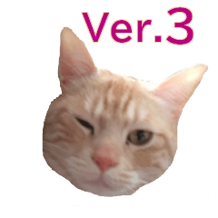 [LINEスタンプ] ねこのぽんたくん日常会話 第3弾