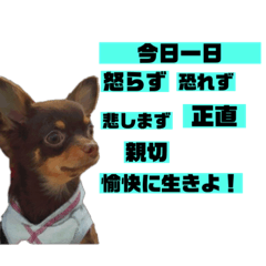 [LINEスタンプ] イケイケなアロンくん