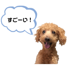 [LINEスタンプ] ぷっかの日常2