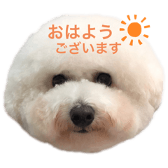 [LINEスタンプ] ☁️SORATO②☁️