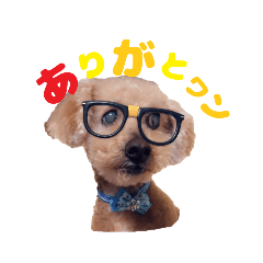 [LINEスタンプ] くうちゃんだぞ～の画像（メイン）