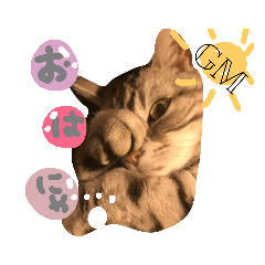 [LINEスタンプ] 藤本famすたんぷ