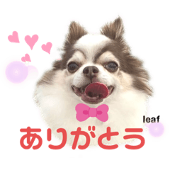 [LINEスタンプ] リーフ11