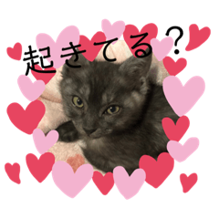 [LINEスタンプ] てんちゃんとトキの日常