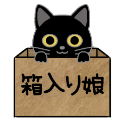 [LINEスタンプ] 毎日使える箱入り娘の黒猫さん 2