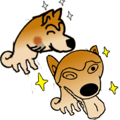[LINEスタンプ] 茶色い可愛い柴犬が毎日挨拶の画像（メイン）