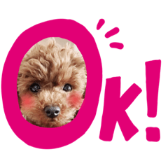 [LINEスタンプ] MOCOO2