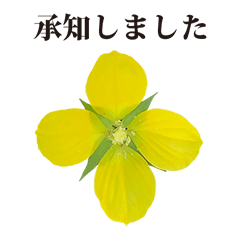 [LINEスタンプ] 黄色の花 と 敬語