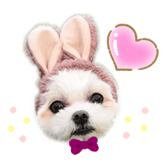 [LINEスタンプ] モアちゃんずラブ