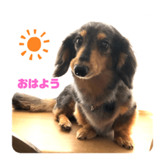[LINEスタンプ] ぴょんスタンプ5