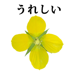 [LINEスタンプ] 黄色の花 と 文字