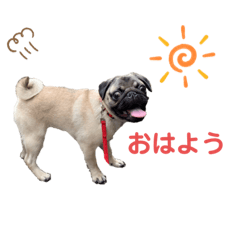 [LINEスタンプ] 日常ぽんた