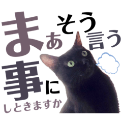 [LINEスタンプ] 黒猫 KEYちゃん5
