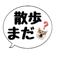 [LINEスタンプ] 柴犬のぼちゃん デカ文字吹出し②