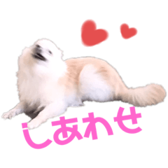 [LINEスタンプ] ちくわ×ボンド 親友のスタンプ
