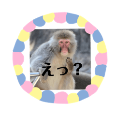 [LINEスタンプ] 動物達のひとり言