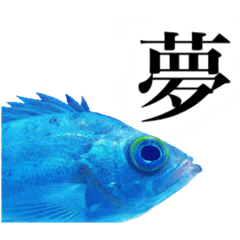きぼうがみえる