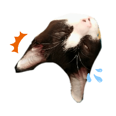 [LINEスタンプ] うちの3人兄弟