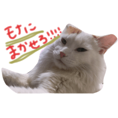 [LINEスタンプ] もなきんぐとばにくいーん