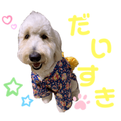 [LINEスタンプ] のえるとのあスタンプ❤