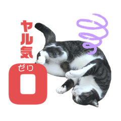 [LINEスタンプ] 猫の気持ち 猫の奈留さん 第3弾