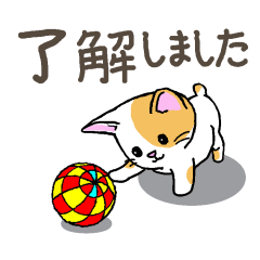 [LINEスタンプ] ねこのタマちゃんスタンプ(2)