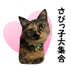 [LINEスタンプ] さびっ子大集合④