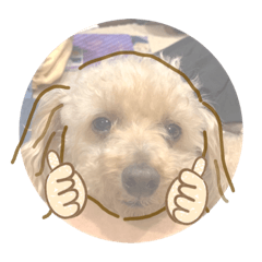 [LINEスタンプ] ぴっころくん！