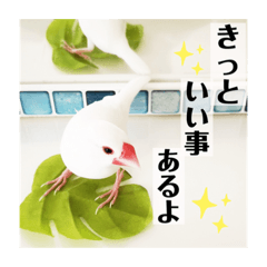 [LINEスタンプ] 文鳥マナちゃんの開運スタンプ