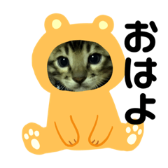 [LINEスタンプ] ベンガルレンジャーズのスタンプ④