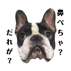 [LINEスタンプ] フレブル大福のひとりごと