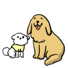 [LINEスタンプ] ゴールデンレトリーバー＆ビションフリーゼ