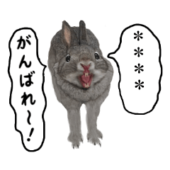 [LINEスタンプ] ほほフレ！お喋りカスタム。ウサギのセレナ