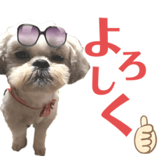 [LINEスタンプ] わんわんパラダイス③