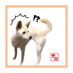 [LINEスタンプ] CHIRO's stump
