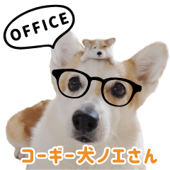 [LINEスタンプ] コーギー犬ノエさん オフィスの画像（メイン）
