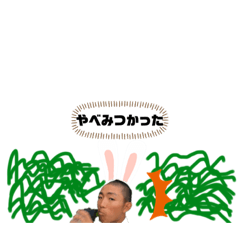 [LINEスタンプ] 彩りを添えるよ日常会話に