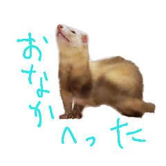 [LINEスタンプ] モカ わさび