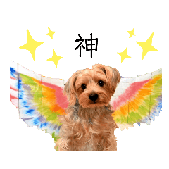 [LINEスタンプ] ヨークシャーテリアのガブリエル2