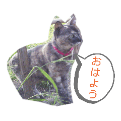 [LINEスタンプ] OOちゃん♪