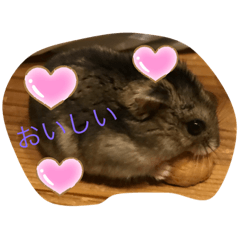 [LINEスタンプ] ❣️楽しいスタンプ❣️
