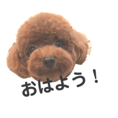 [LINEスタンプ] John 4