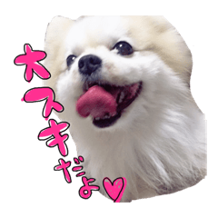 [LINEスタンプ] 我が家のポテチくん