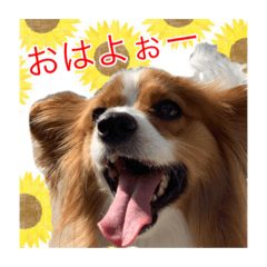 [LINEスタンプ] 愛犬樹里のスタンプパート2