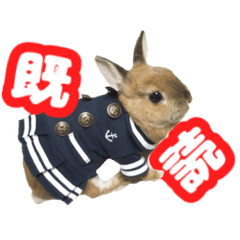 [LINEスタンプ] kinakoはRabbit ⑧