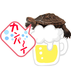 [LINEスタンプ] クサガメのカメ太 No.2