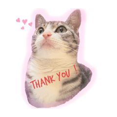 [LINEスタンプ] テテ子の日常