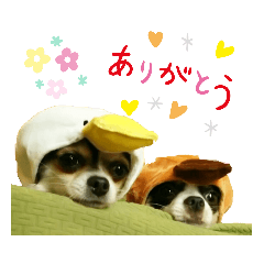 [LINEスタンプ] まめともも HappyLife